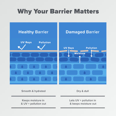 Barrier Repair Advanced Moisturiser
